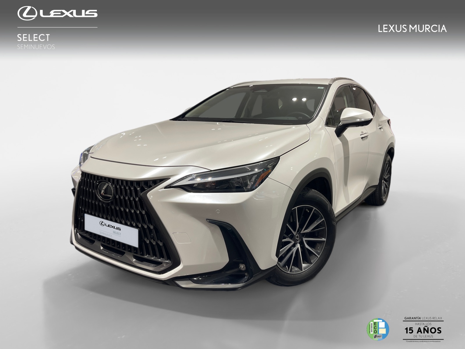 LEXUS NX NX 350h 2WD EXECUTIVE