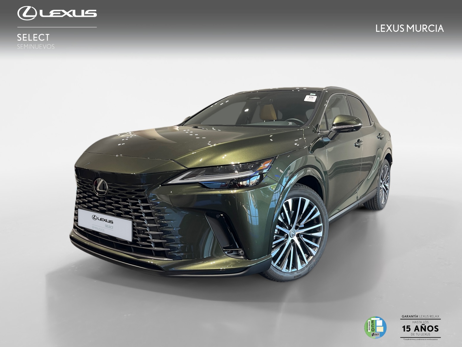 LEXUS RX RX 450h+ EXECUTIVE+