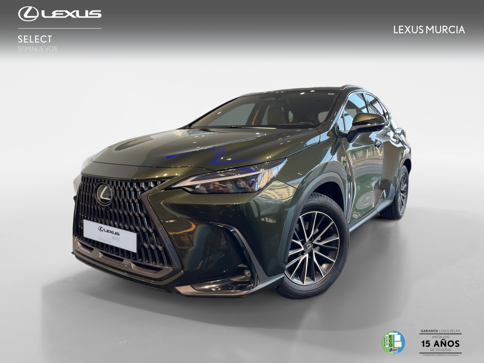 LEXUS NX NX 350h 2WD EXECUTIVE