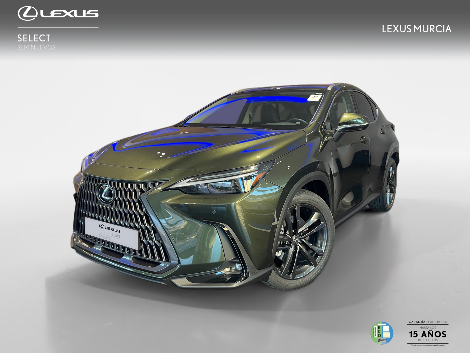 LEXUS NX NX 450h+ 4WD EXECUTIVE+